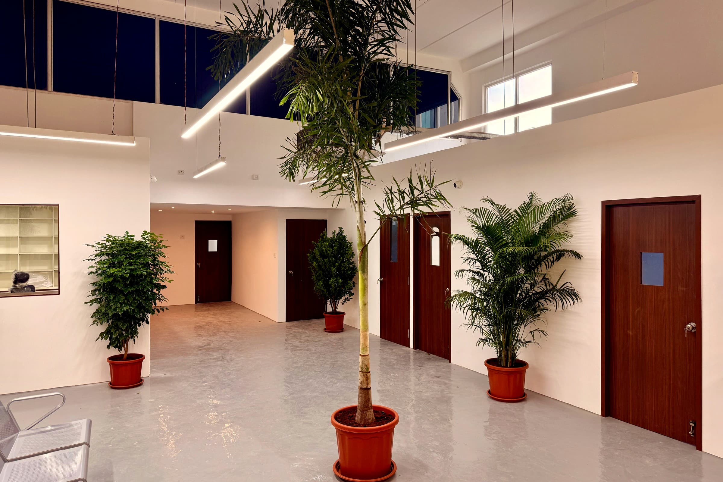 Real photo of the finished MedWorksPlus atrium and consultation room corridor, ready for occupancy
