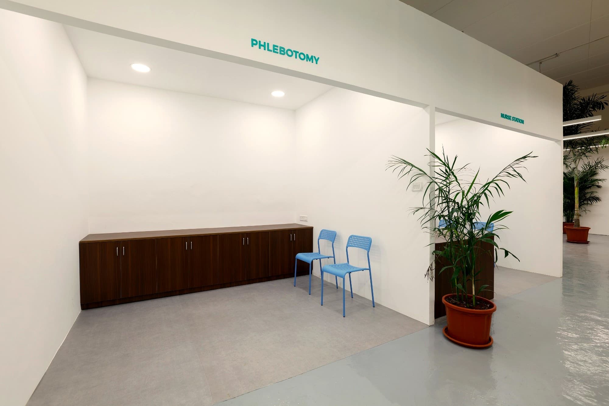 Phlebotomy and Nurse Station